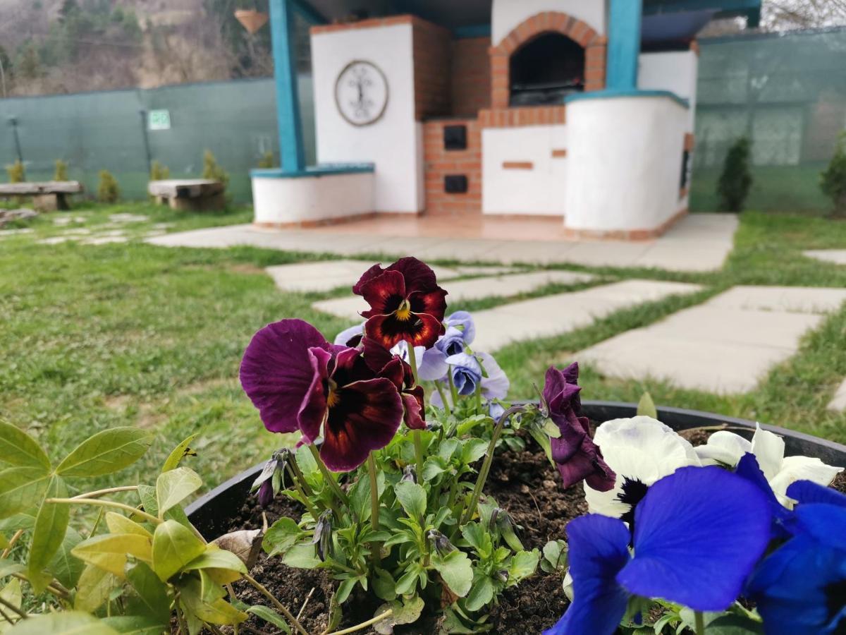 Chalet Bora Viseu de Jos Luaran gambar