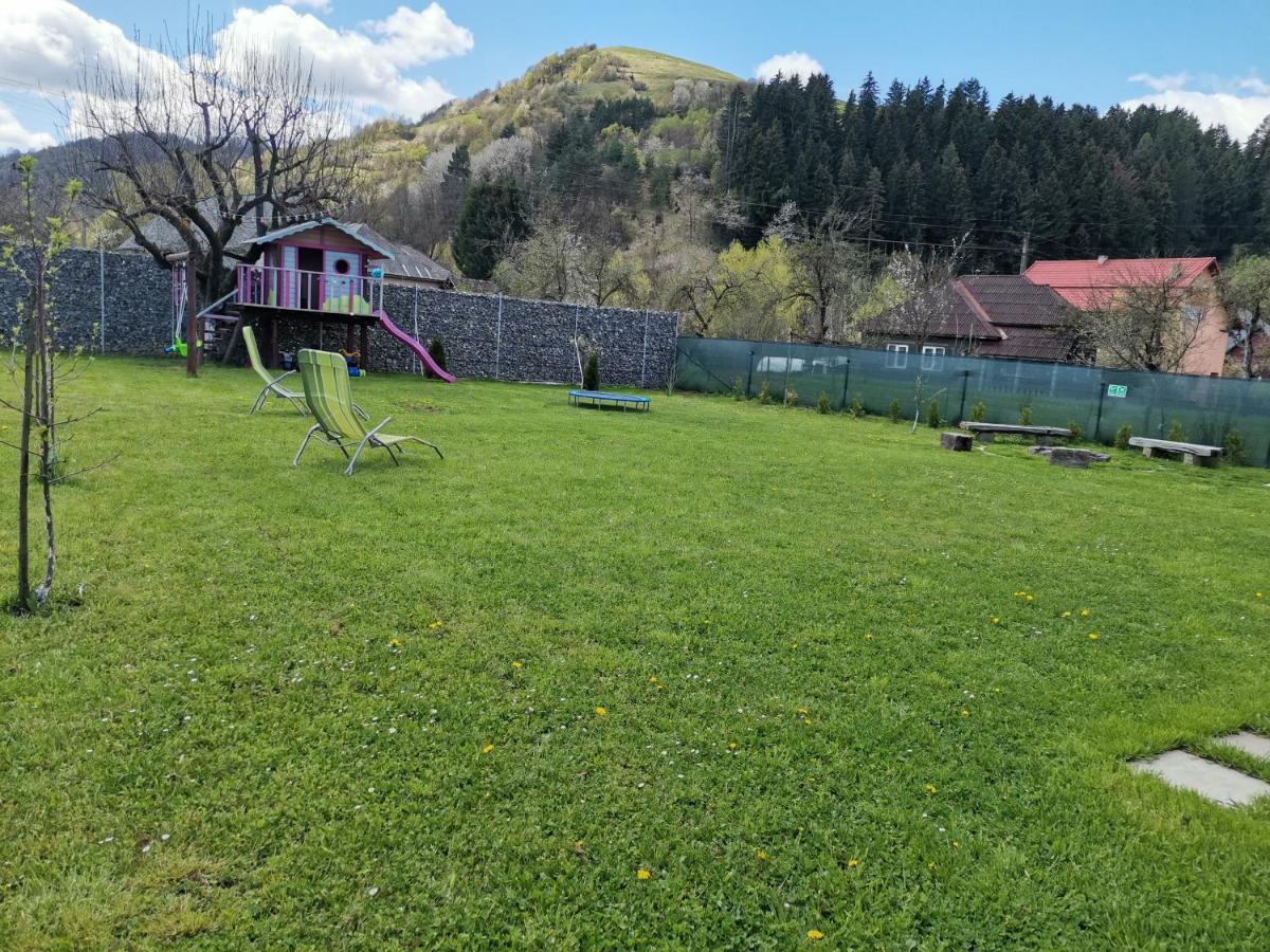 Chalet Bora Viseu de Jos Luaran gambar