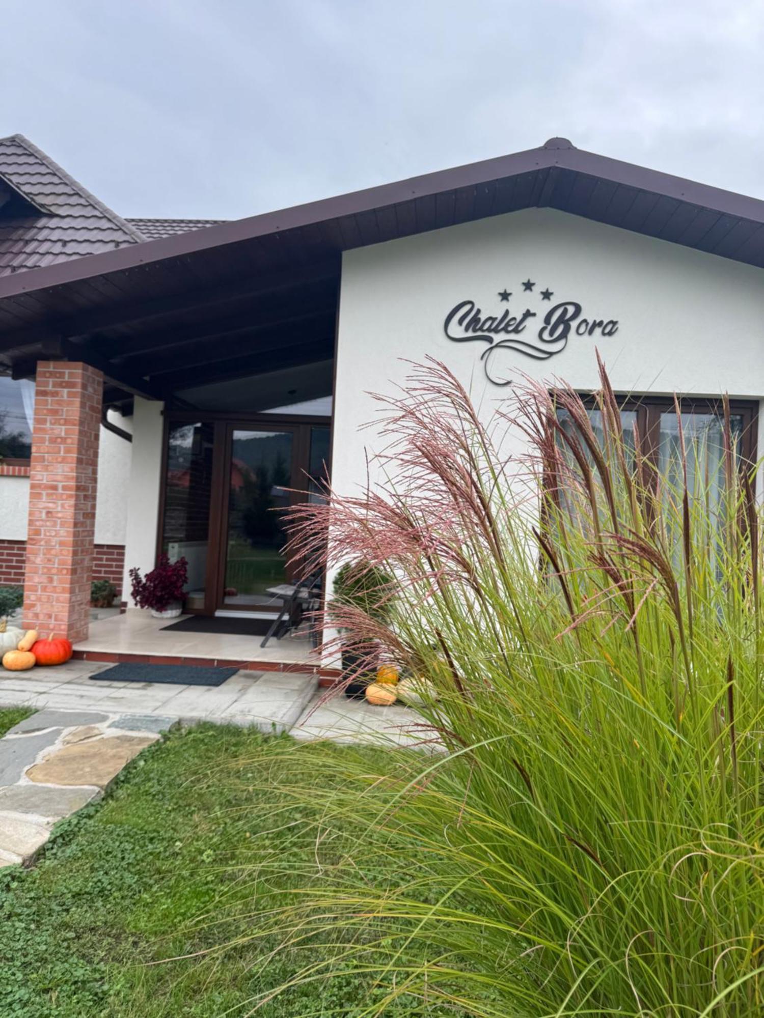 Chalet Bora Viseu de Jos Luaran gambar