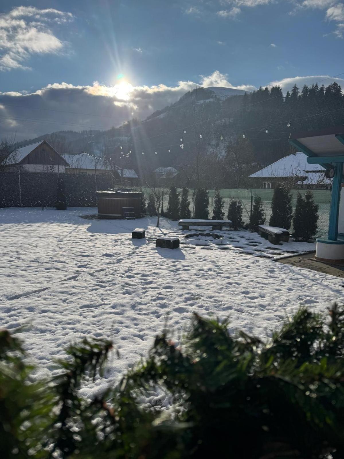 Chalet Bora Viseu de Jos Luaran gambar