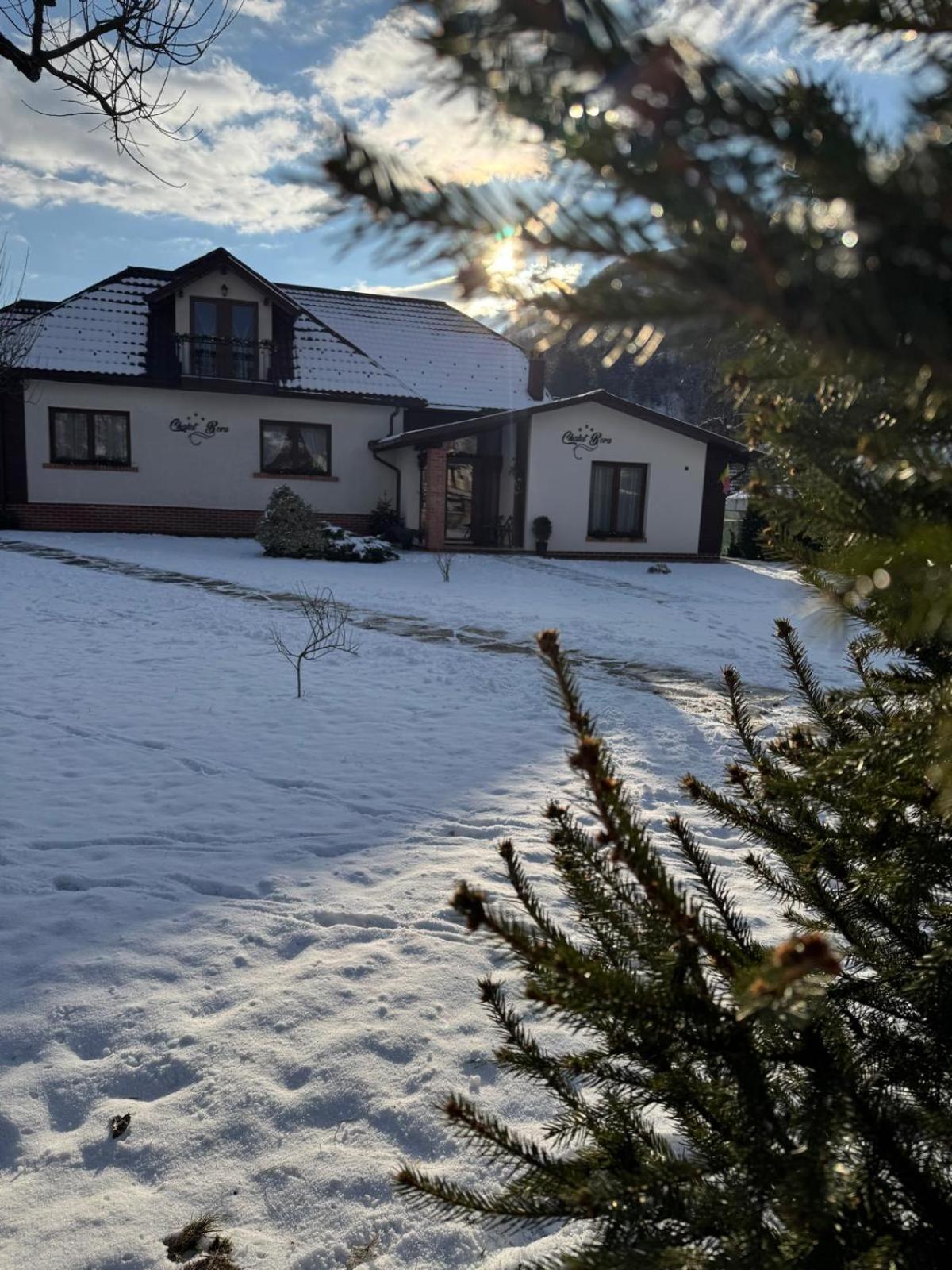 Chalet Bora Viseu de Jos Luaran gambar