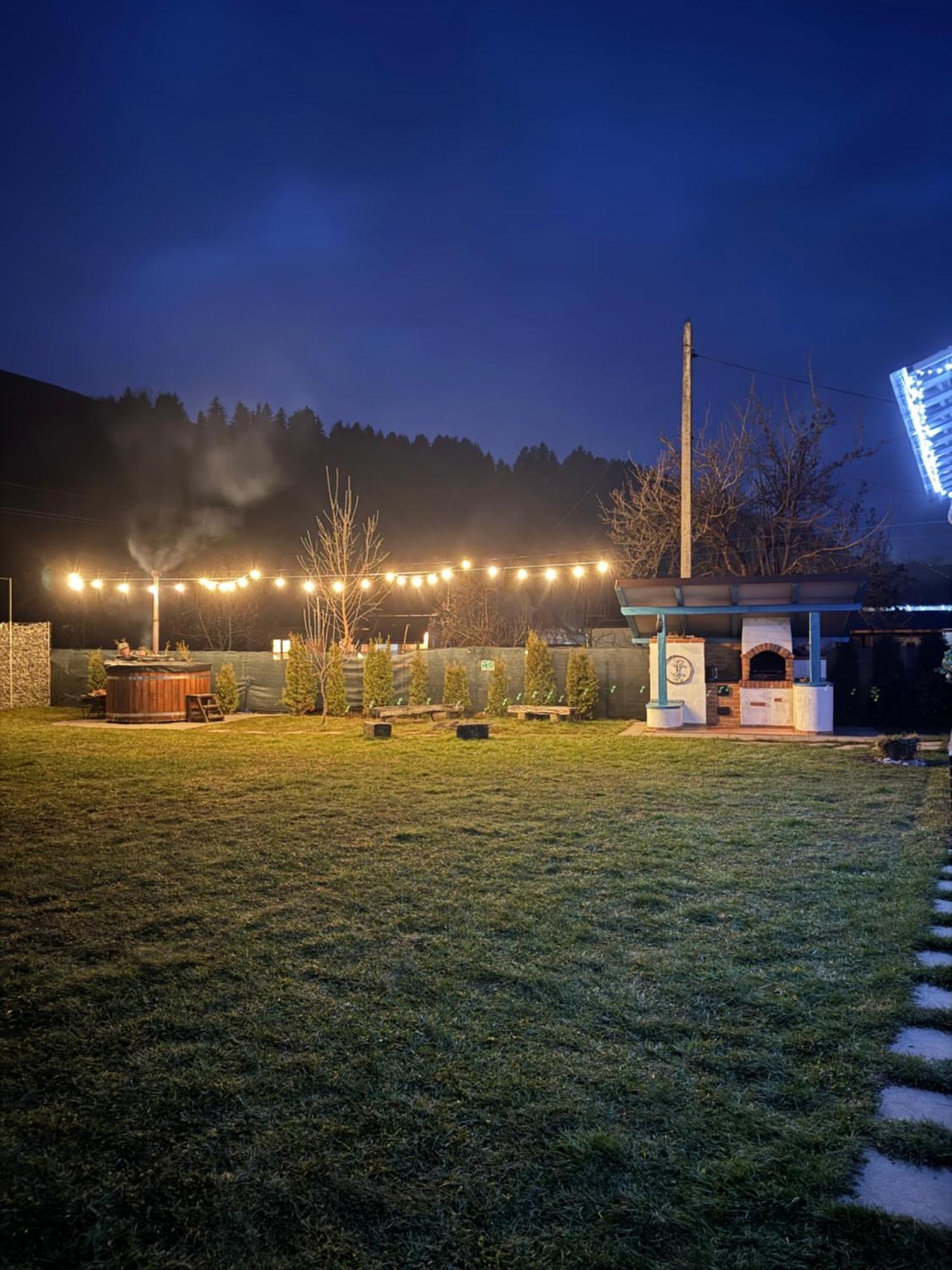 Chalet Bora Viseu de Jos Luaran gambar