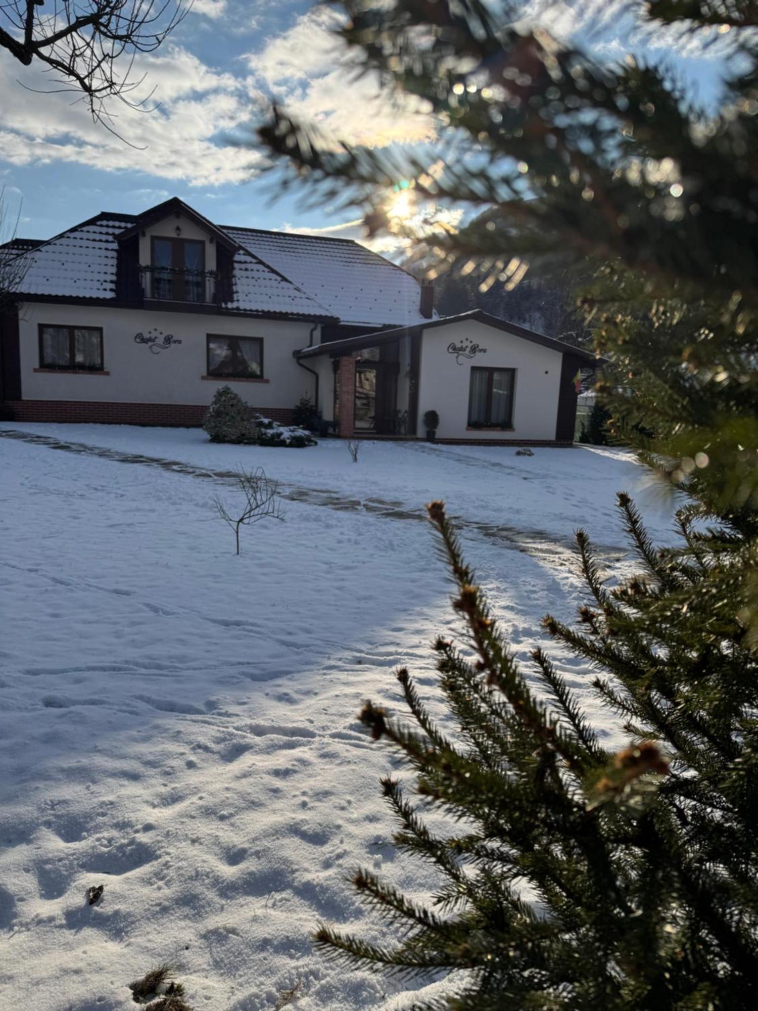Chalet Bora Viseu de Jos Luaran gambar
