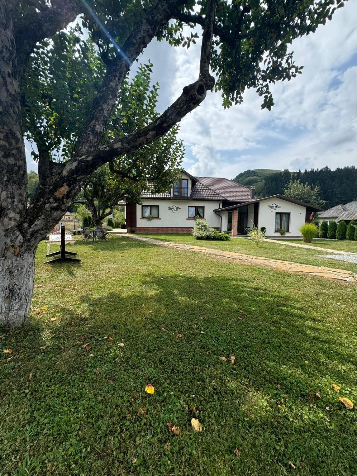 Chalet Bora Viseu de Jos Luaran gambar