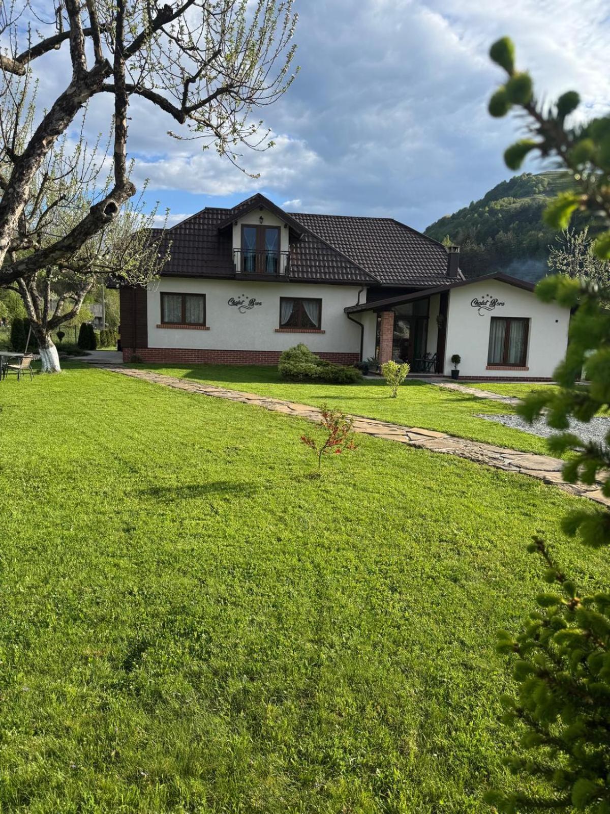 Chalet Bora Viseu de Jos Luaran gambar