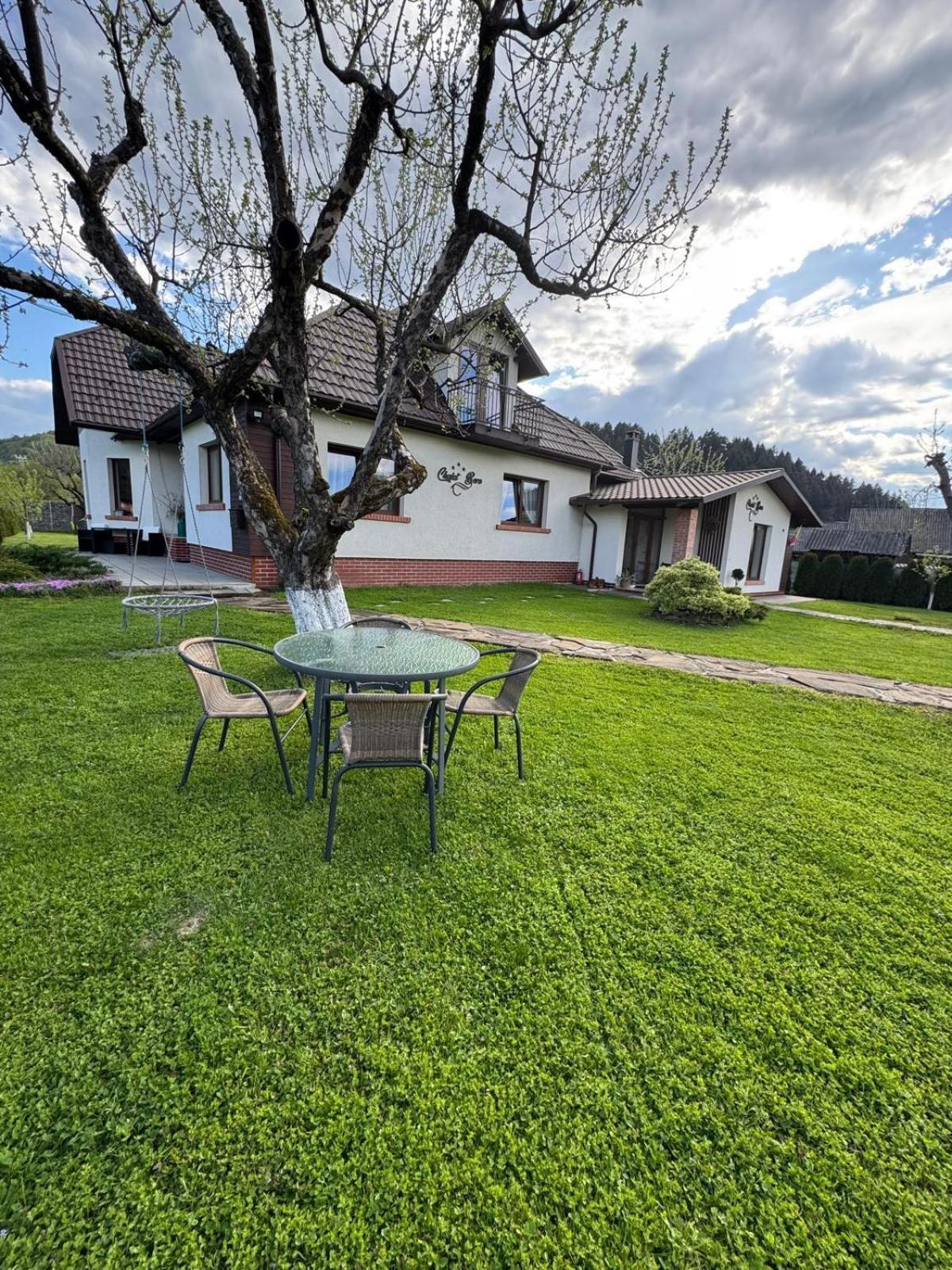 Chalet Bora Viseu de Jos Luaran gambar